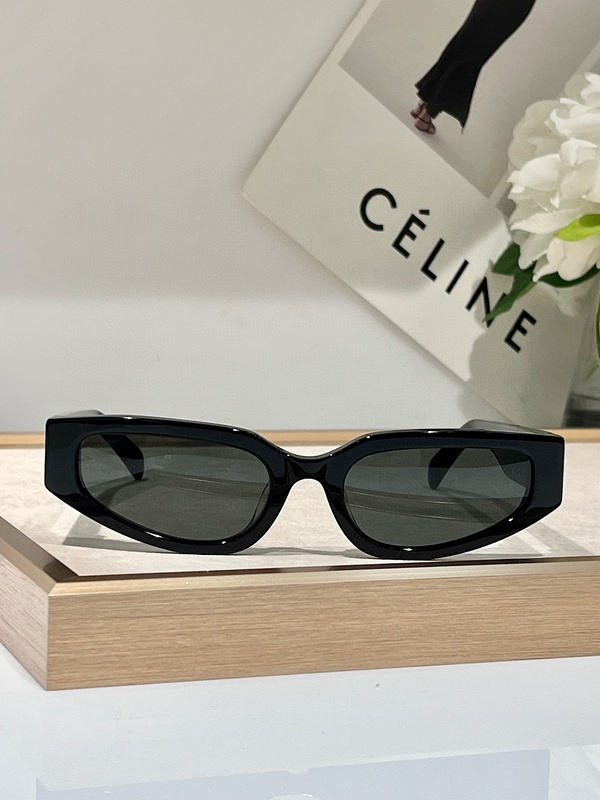 CELINE Sunglasses 105